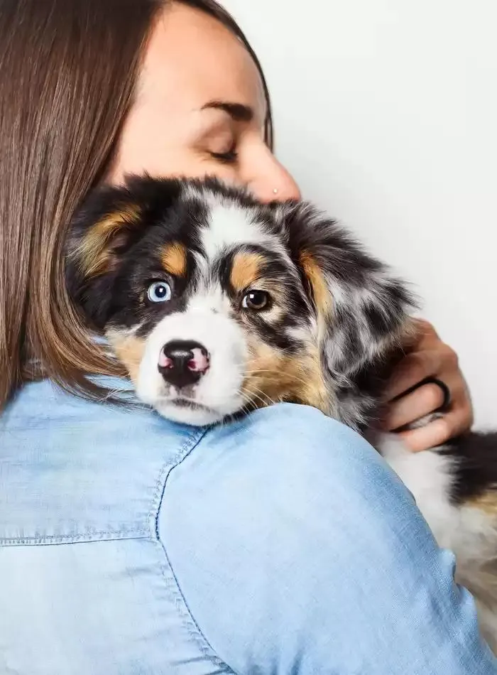 Dog Catalogue 2025 - Catalogue valid from 3 March to 31 December 2025 - page 170