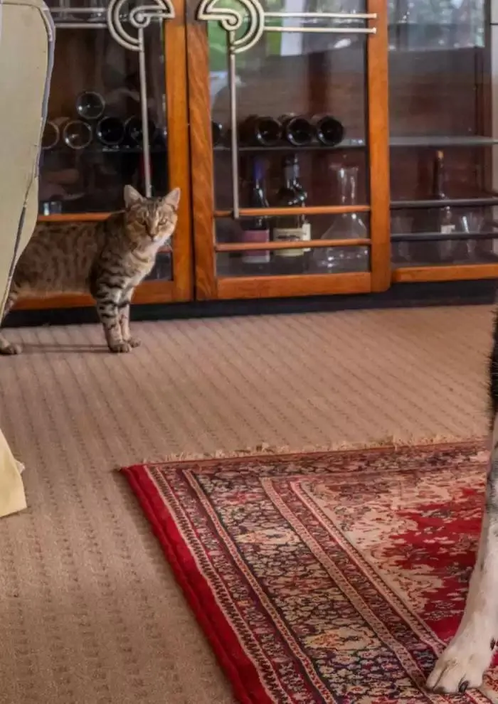 April - June 2025 - Catalogue valid from 1 April to 30 June 2025 - page 6