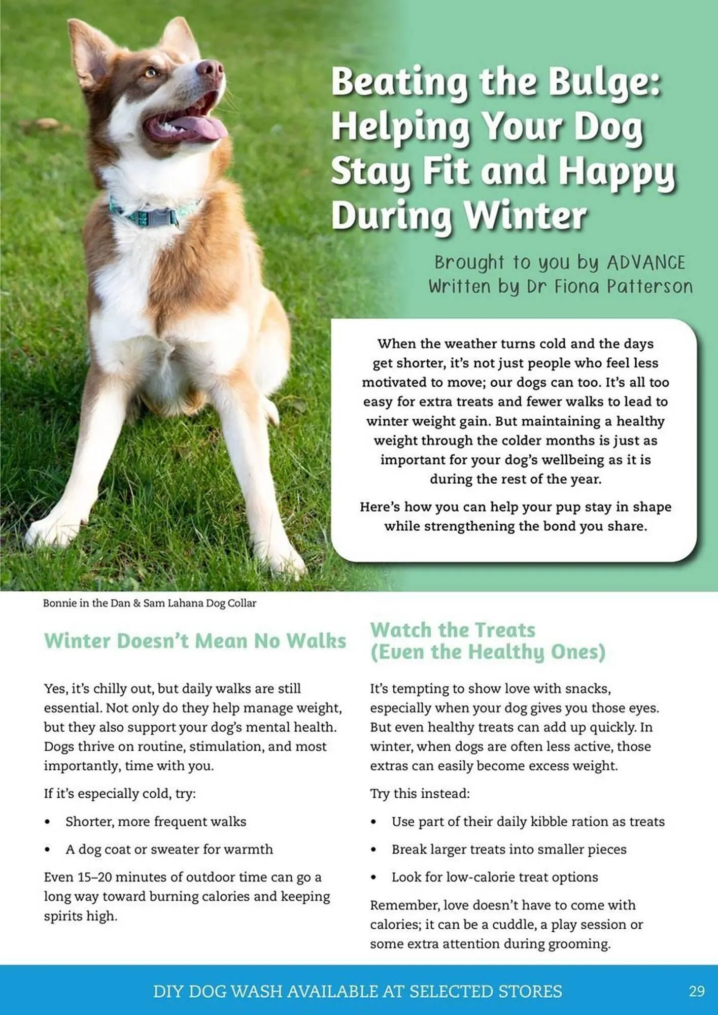 Pets Domain catalogue - Catalogue valid from 1 July to 30 September 2025 - page 29