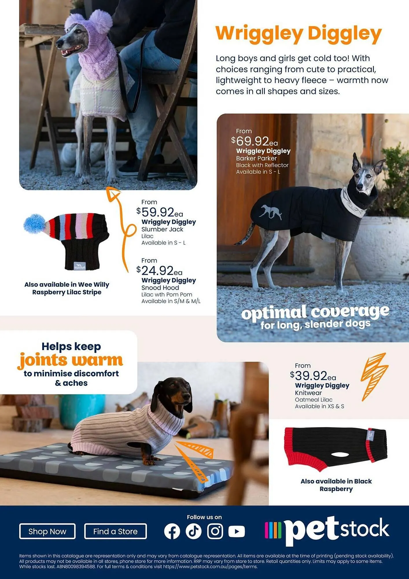 Pet stock catalogue - Catalogue valid from 15 April to 30 September 2024 - page 31