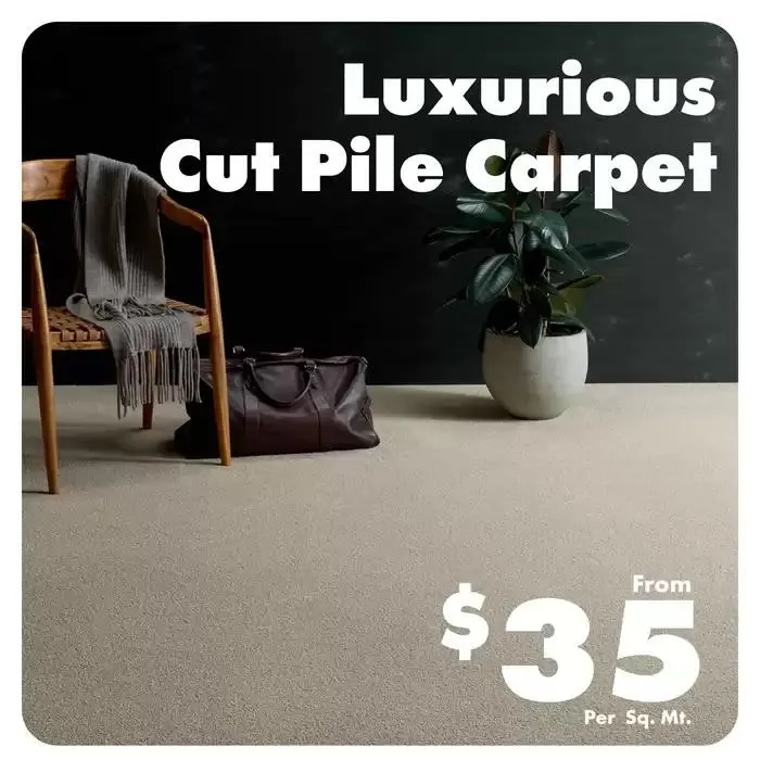 Expert in the Trade Reviews - Catalogue valid from 6 January to 31 January 2025 - page 7