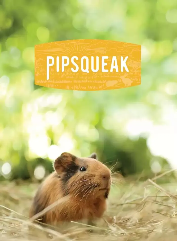 Small Animal Catalogue 2025 - Catalogue valid from 3 March to 31 December 2025 - page 6