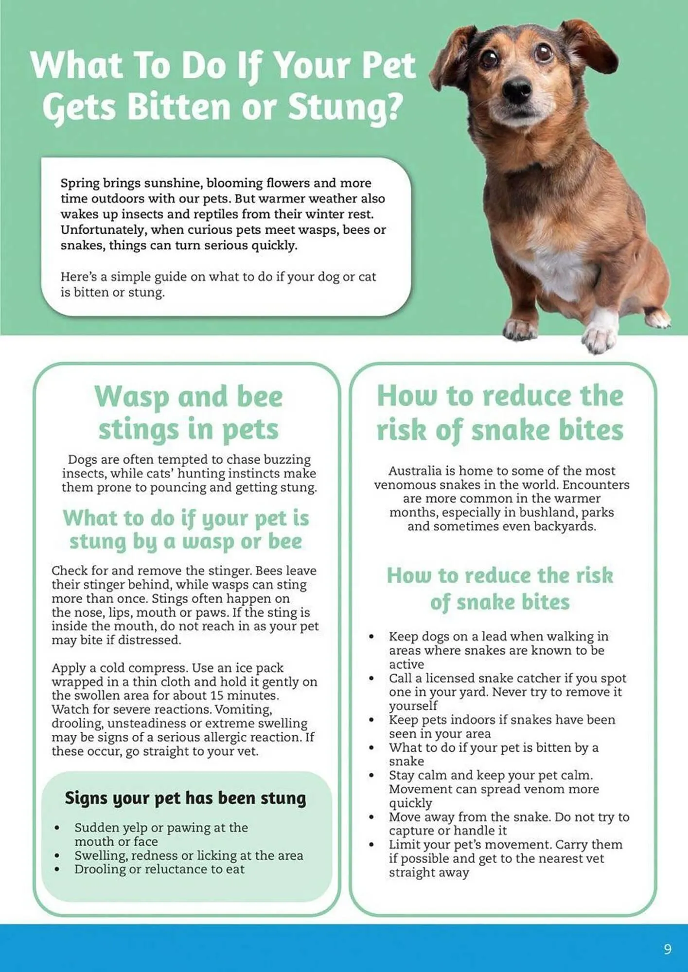 Pets Domain catalogue - Catalogue valid from 2 October to 31 December 2025 - page 9