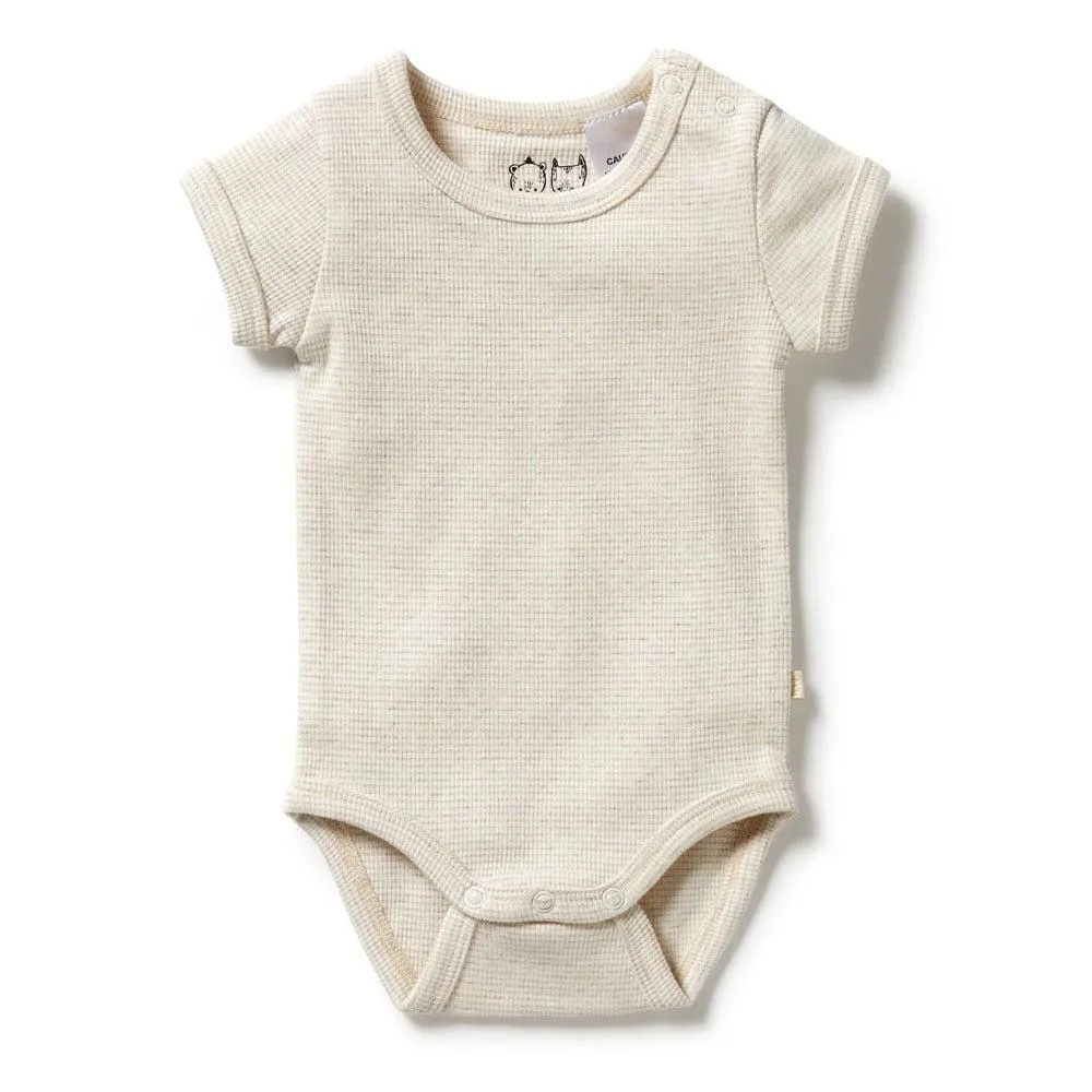 Wilson & Frenchy Organic Stripe Rib Bodysuit Oatmeal