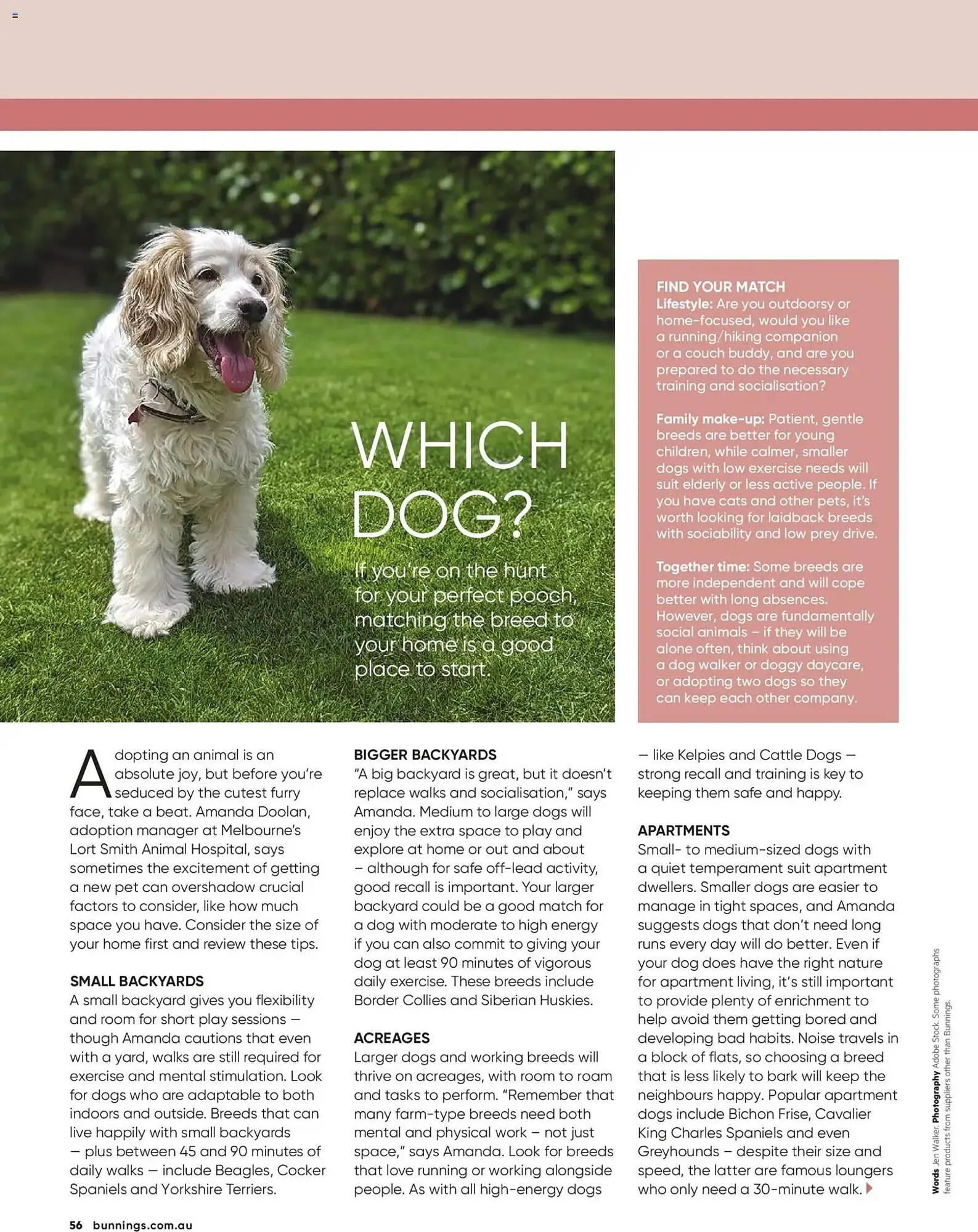 Bunnings catalogue - Catalogue valid from 28 February to 31 March 2026 - page 56