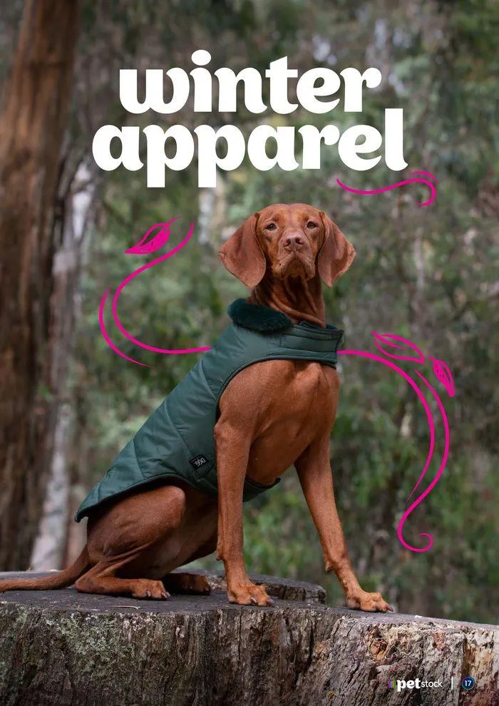 Winter 2024 - Catalogue valid from 15 April to 30 September 2024 - page 17