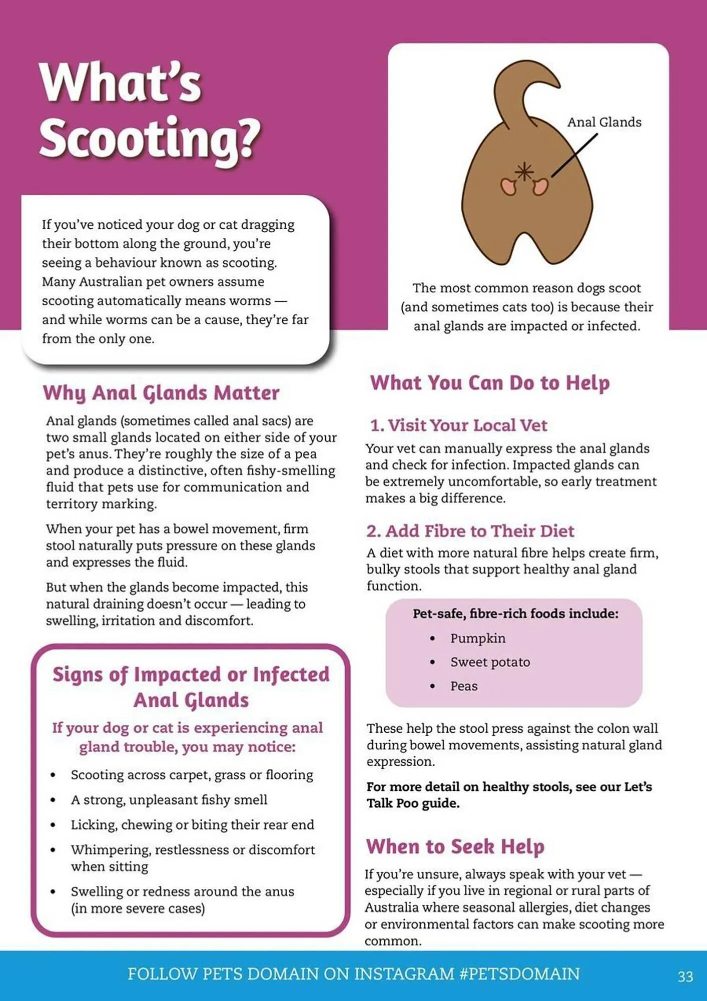 Pets Domain catalogue - Catalogue valid from 1 January to 31 March 2026 - page 33