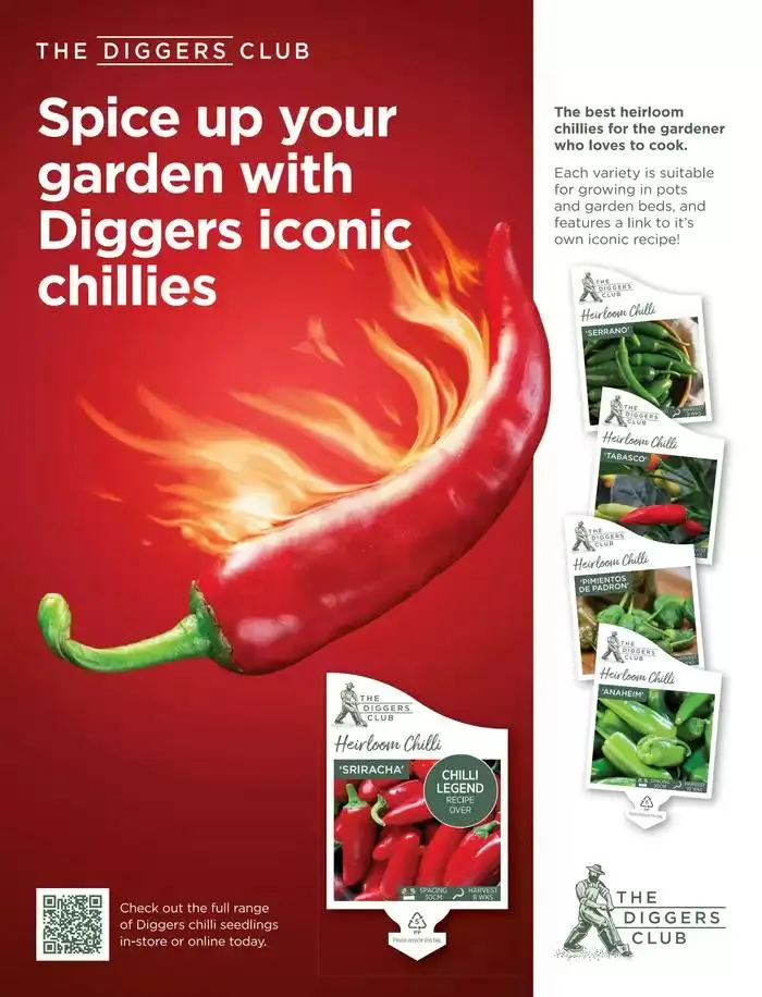  October 2024 - Catalogue valid from 1 October to 31 October 2024 - page 19