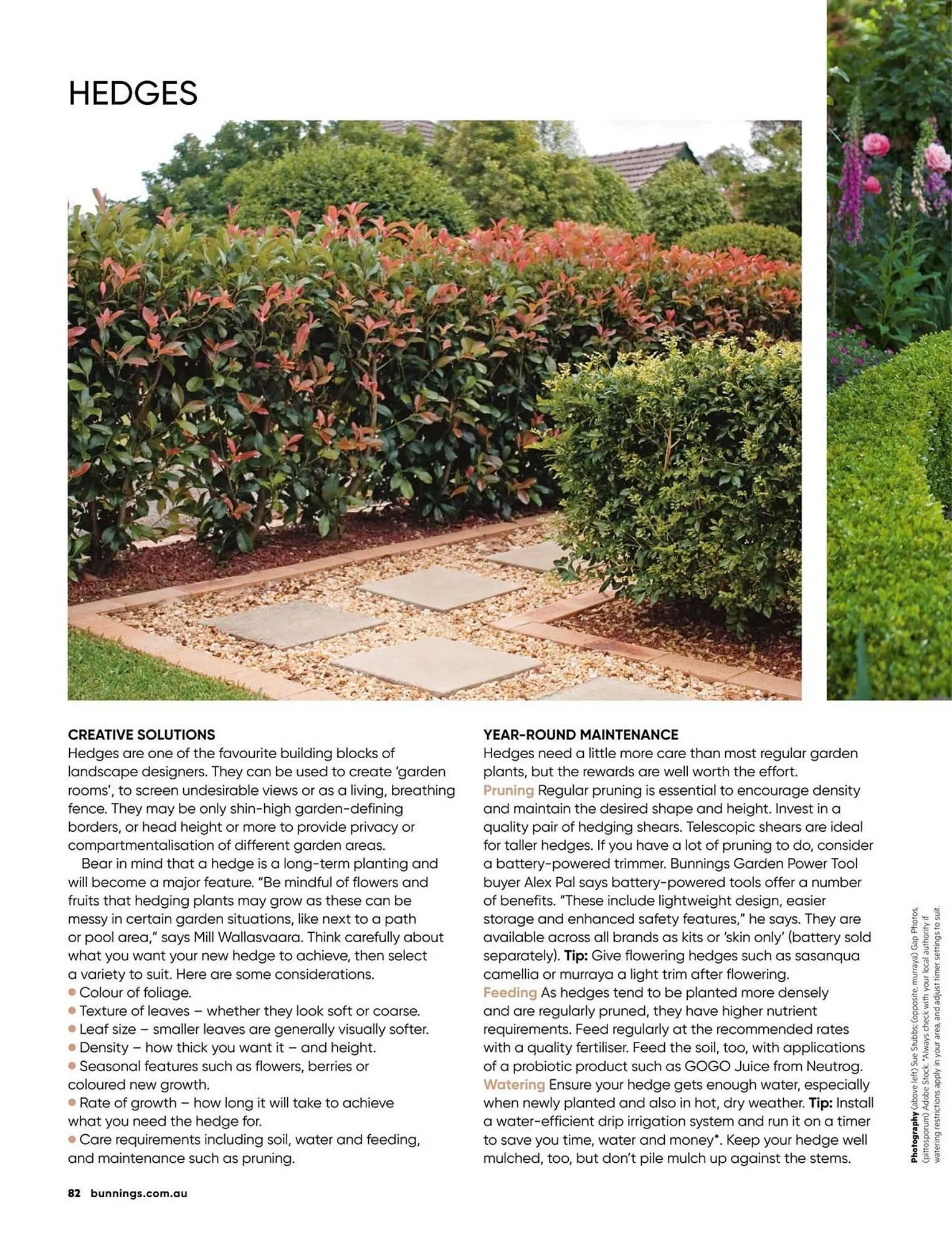 Bunnings catalogue - Catalogue valid from 1 September to 30 September 2025 - page 82