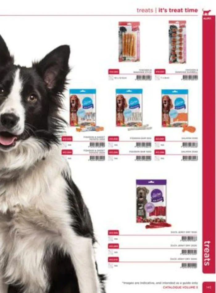 Dog Catalogue 2024 - Catalogue valid from 4 January to 31 December 2024 - page 143
