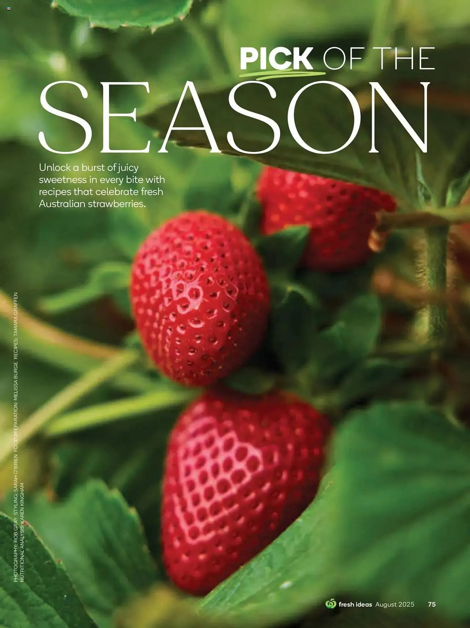 Woolworths catalogue - Catalogue valid from 31 July to 31 August 2025 - page 75