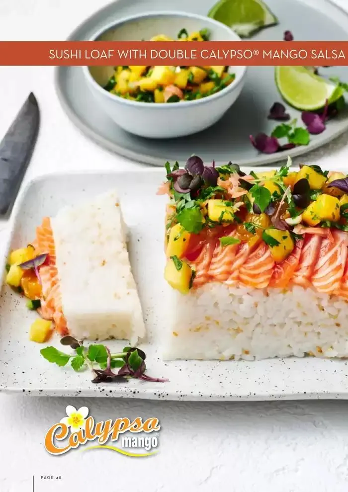 January 2025 - Catalogue valid from 16 December to 31 January 2025 - page 48