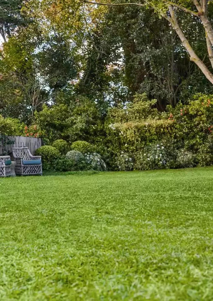 Catalogue 2024 - Catalogue valid from 26 June to 5 January 2025 - page 185