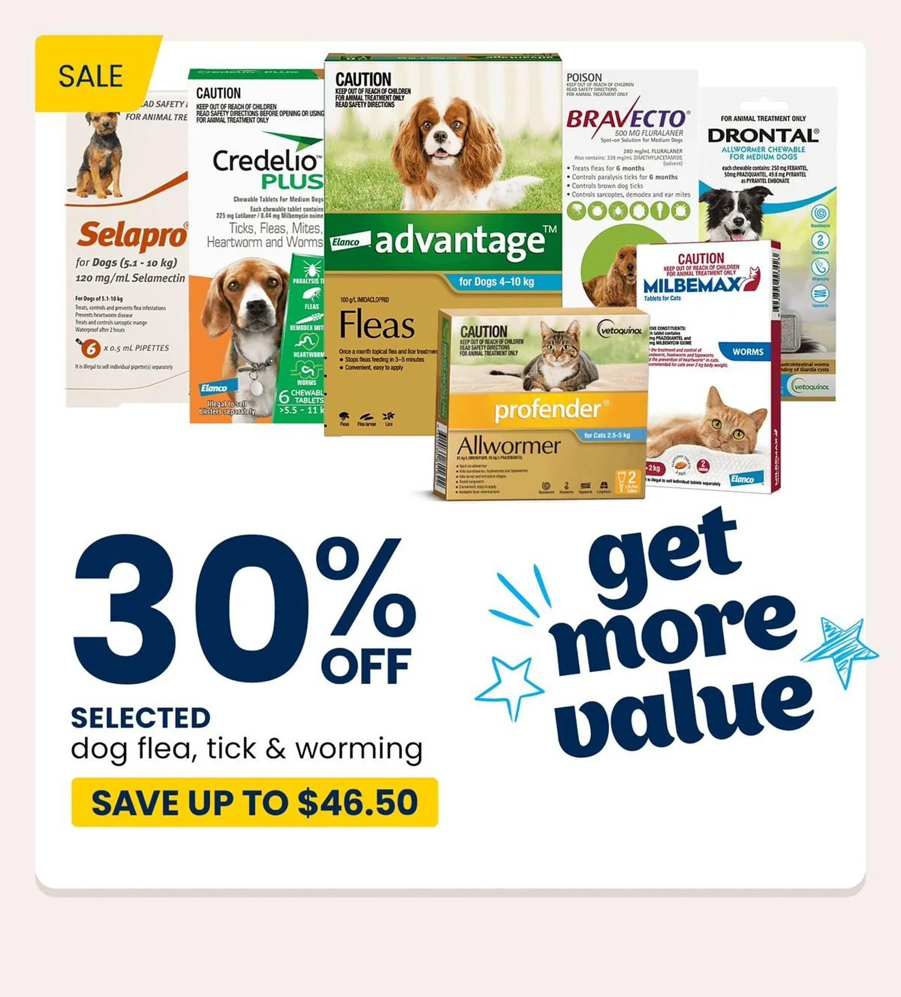 Pet stock catalogue - 1