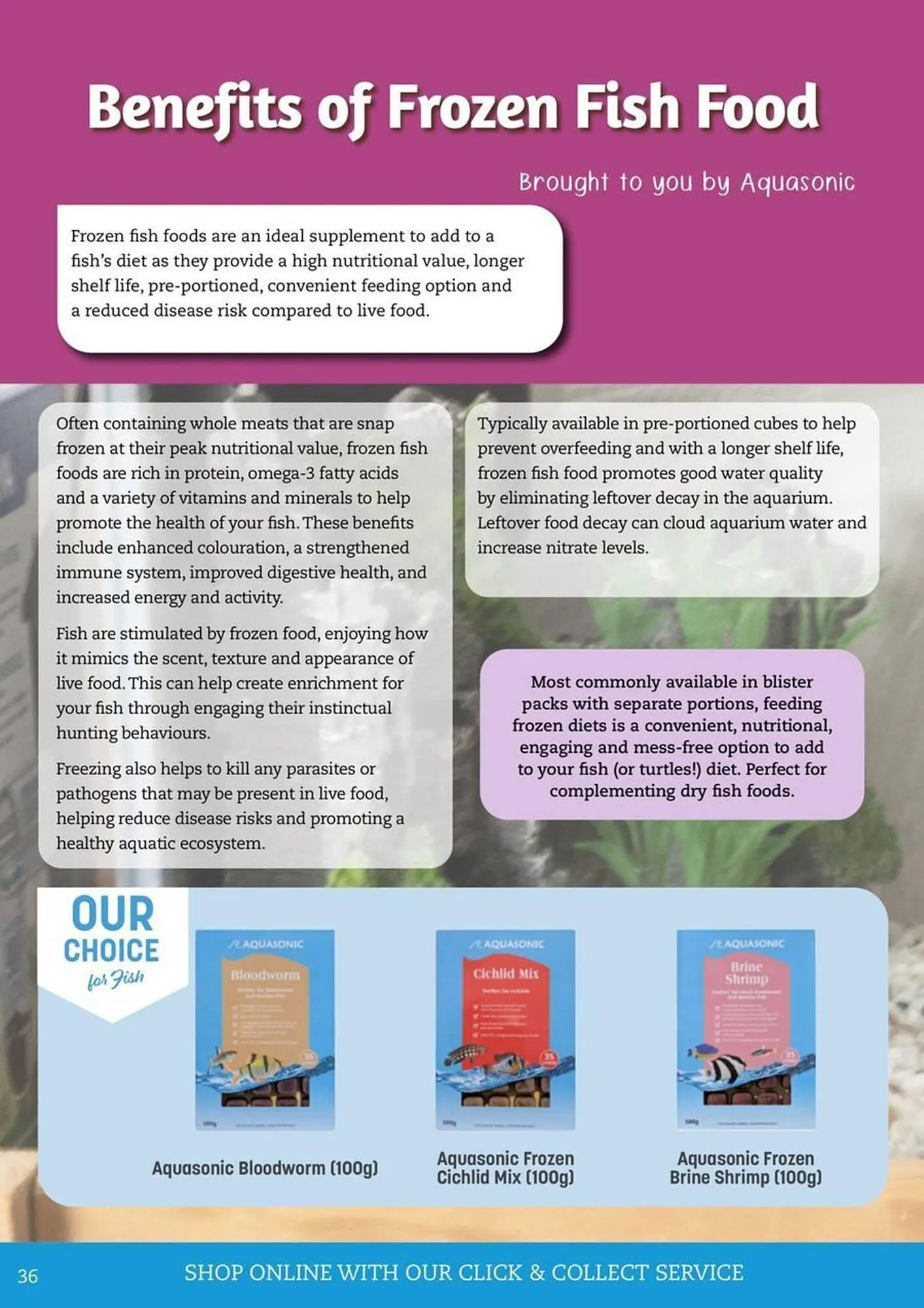 Pets Domain catalogue - Catalogue valid from 1 January to 31 March 2026 - page 36