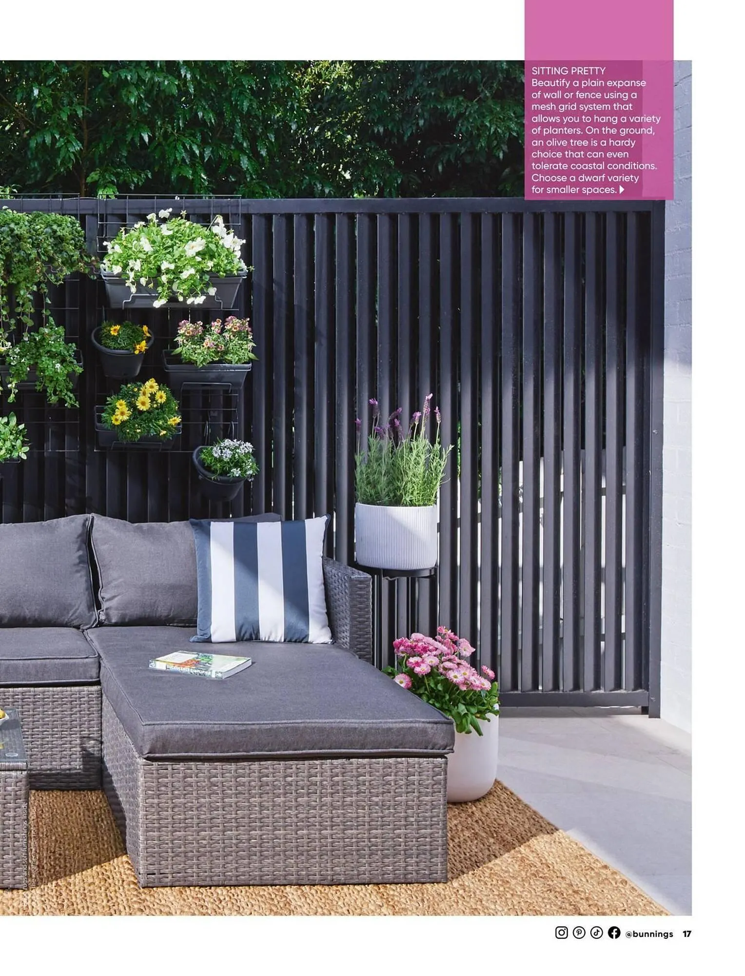 Bunnings catalogue - Catalogue valid from 1 September to 30 September 2025 - page 17