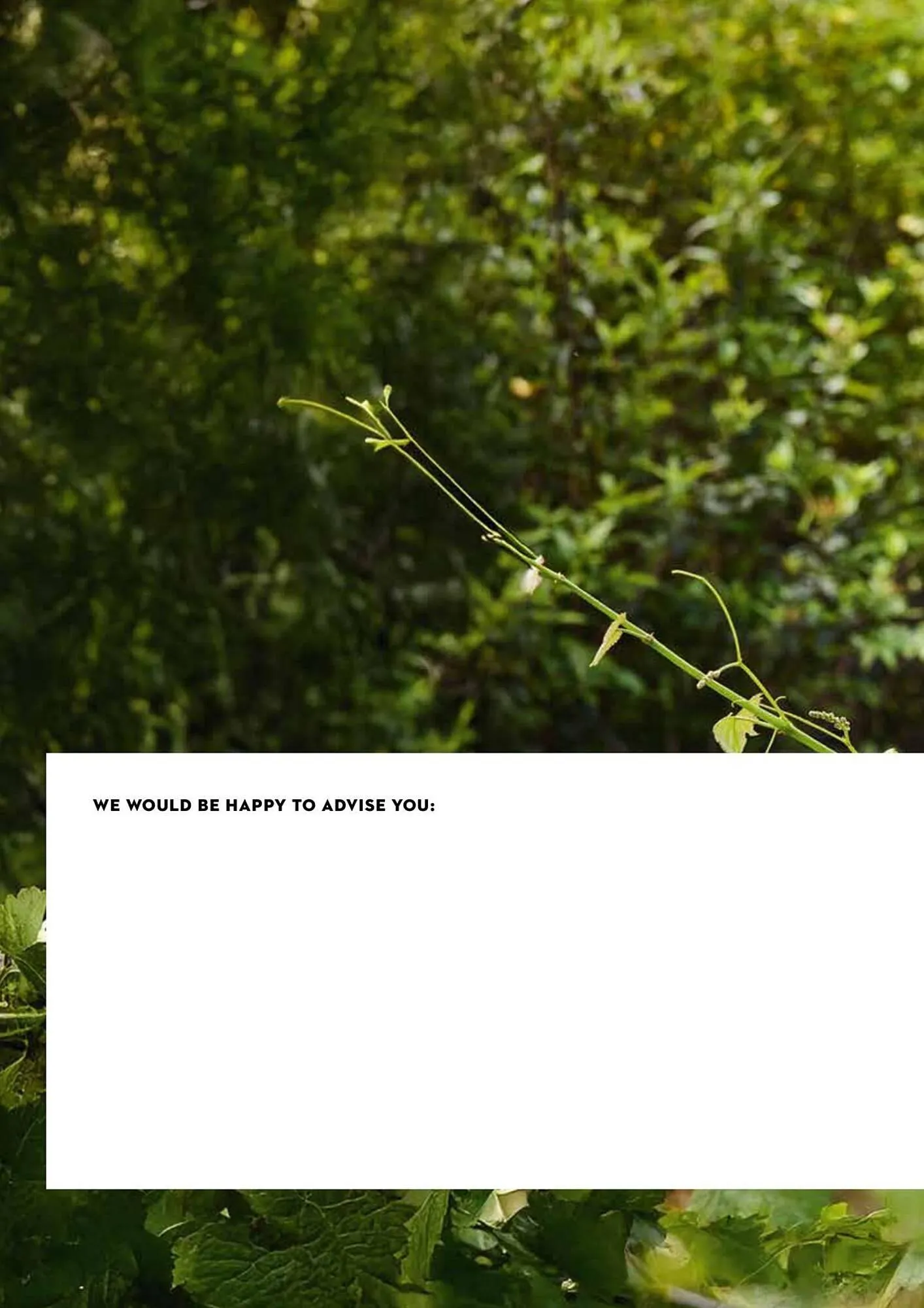 STIHL catalogue - Catalogue valid from 2 June to 30 June 2025 - page 292