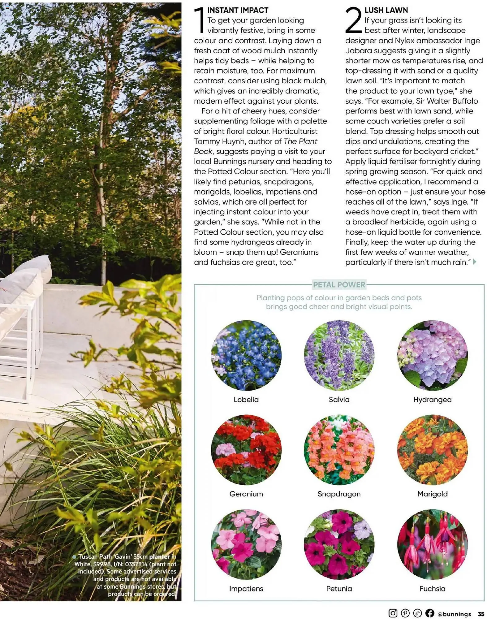 Bunnings catalogue - Catalogue valid from 31 October to 30 November 2025 - page 35