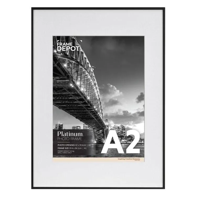 Frame Depot Platinum Metal Poster Frame Black