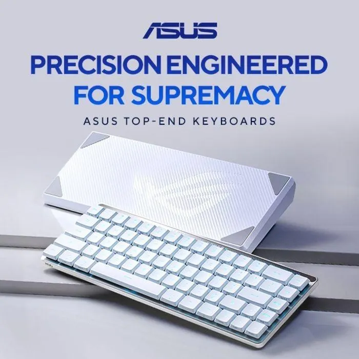 New Arrivals - Catalogue valid from 7 May to 14 May 2024 - page 2