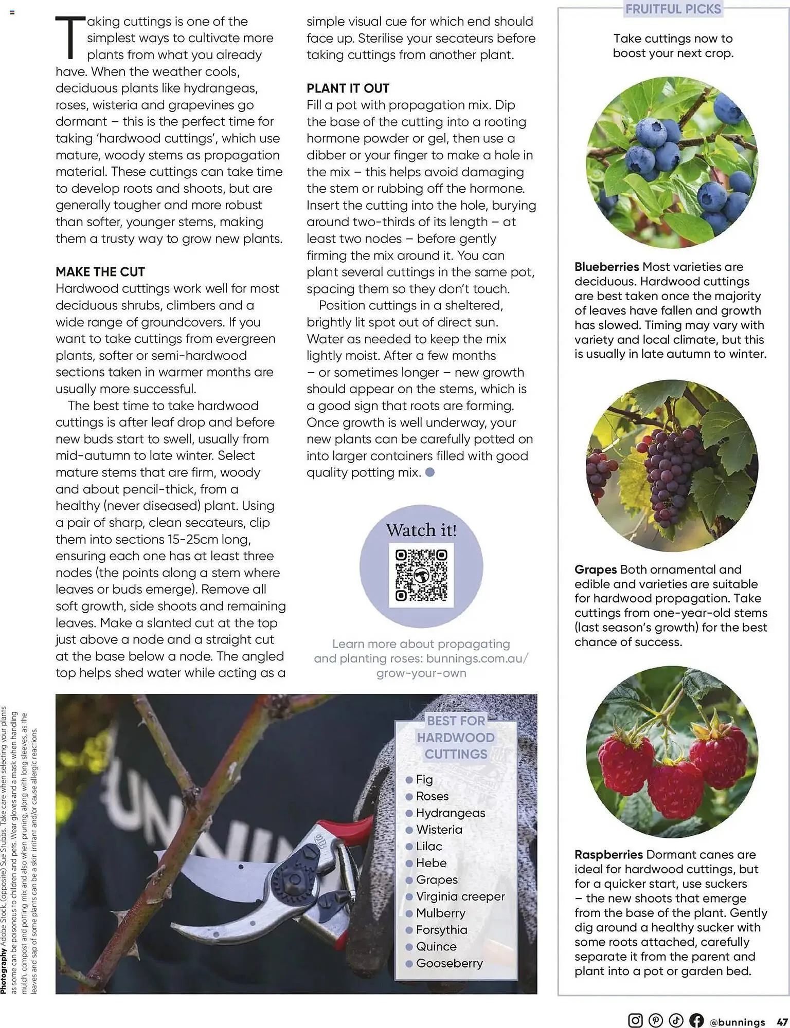 Bunnings catalogue - Catalogue valid from 30 April to 30 June 2026 - page 47