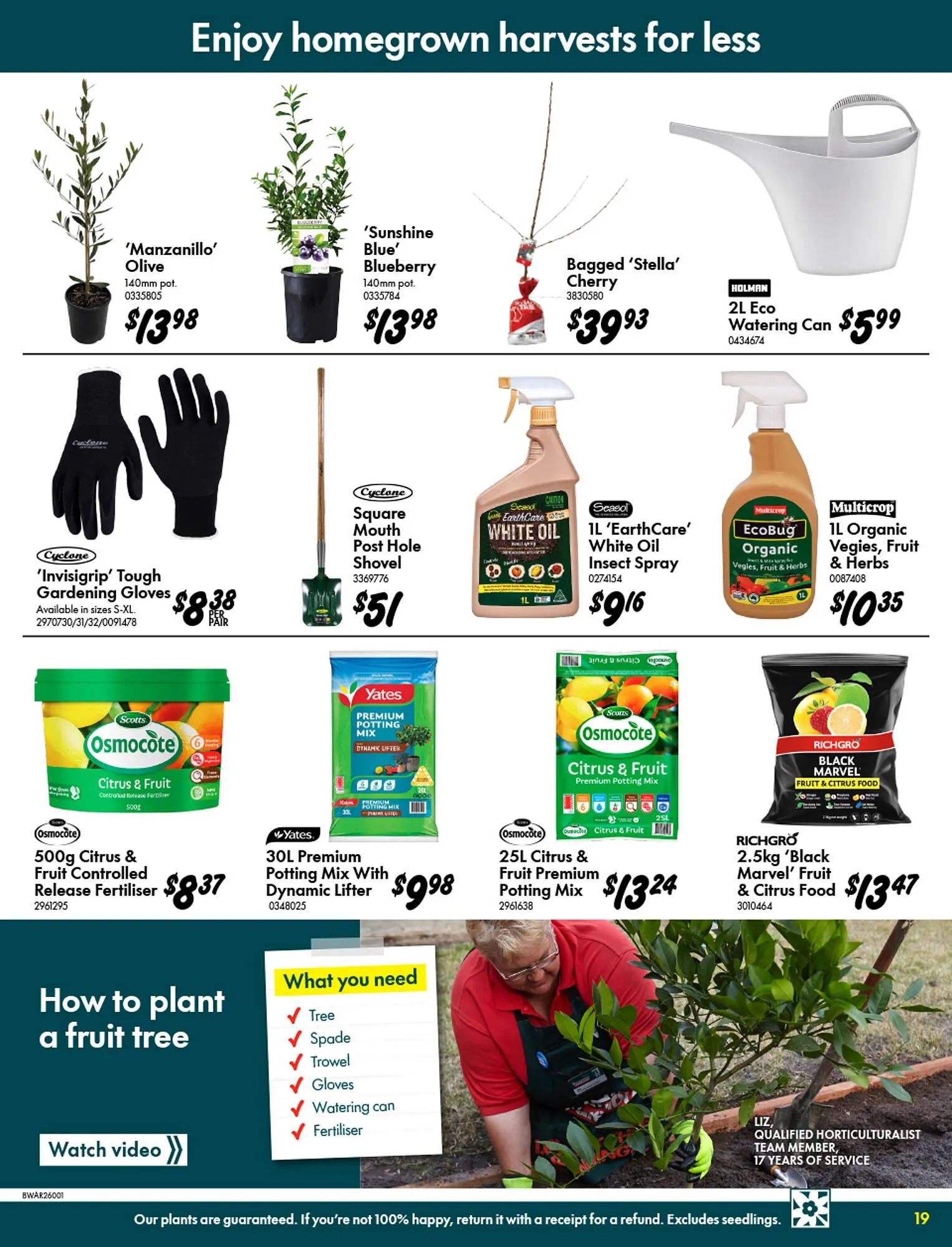 Bunnings catalogue - Catalogue valid from 2 July to 27 July 2025 - page 19