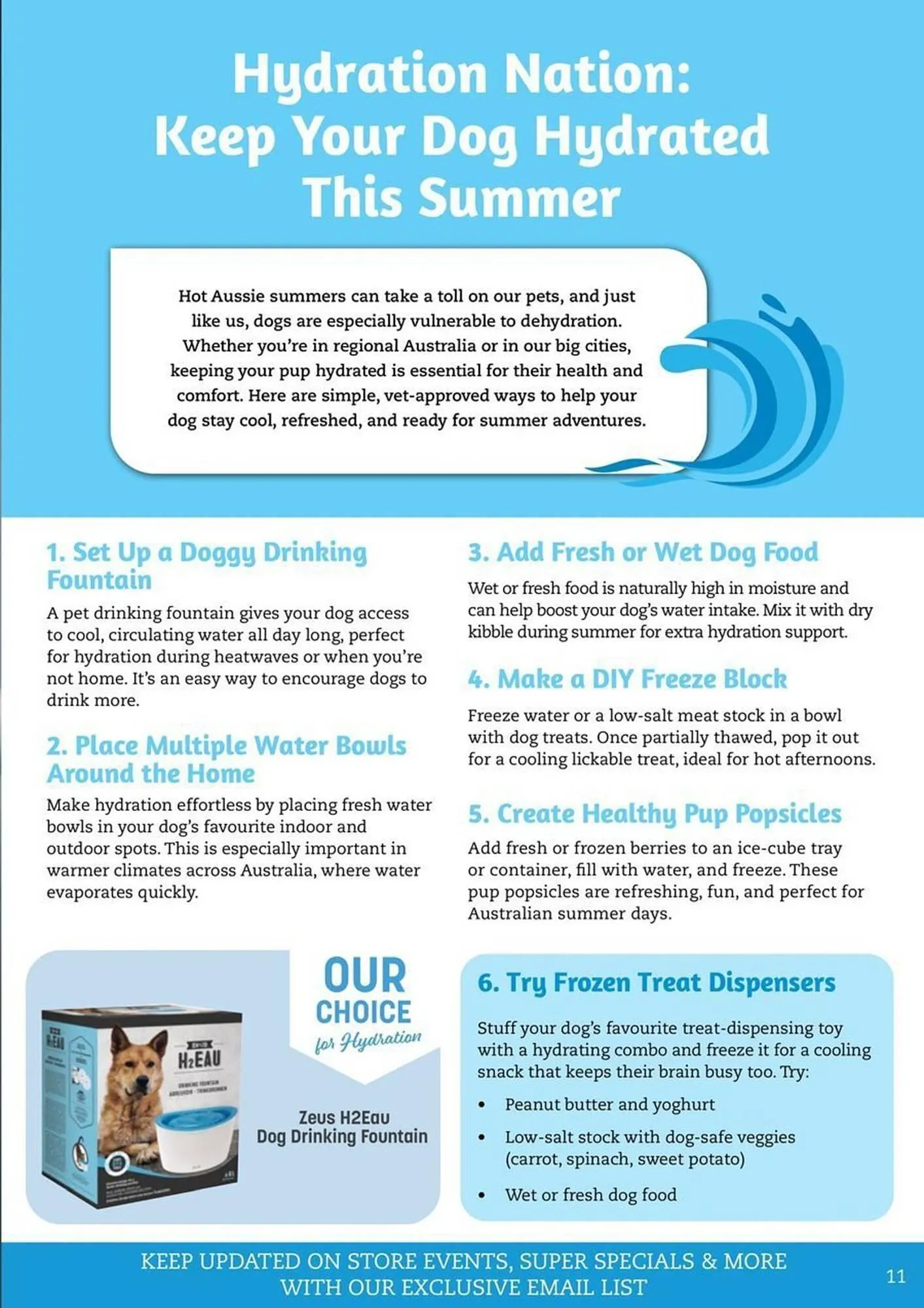 Pets Domain catalogue - Catalogue valid from 1 January to 31 March 2026 - page 11