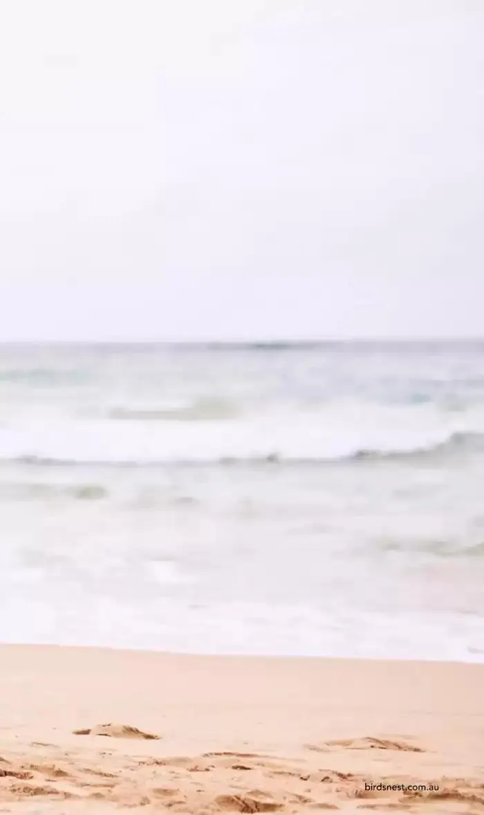 Holiday 2024 - Catalogue valid from 10 December to 31 January 2025 - page 25