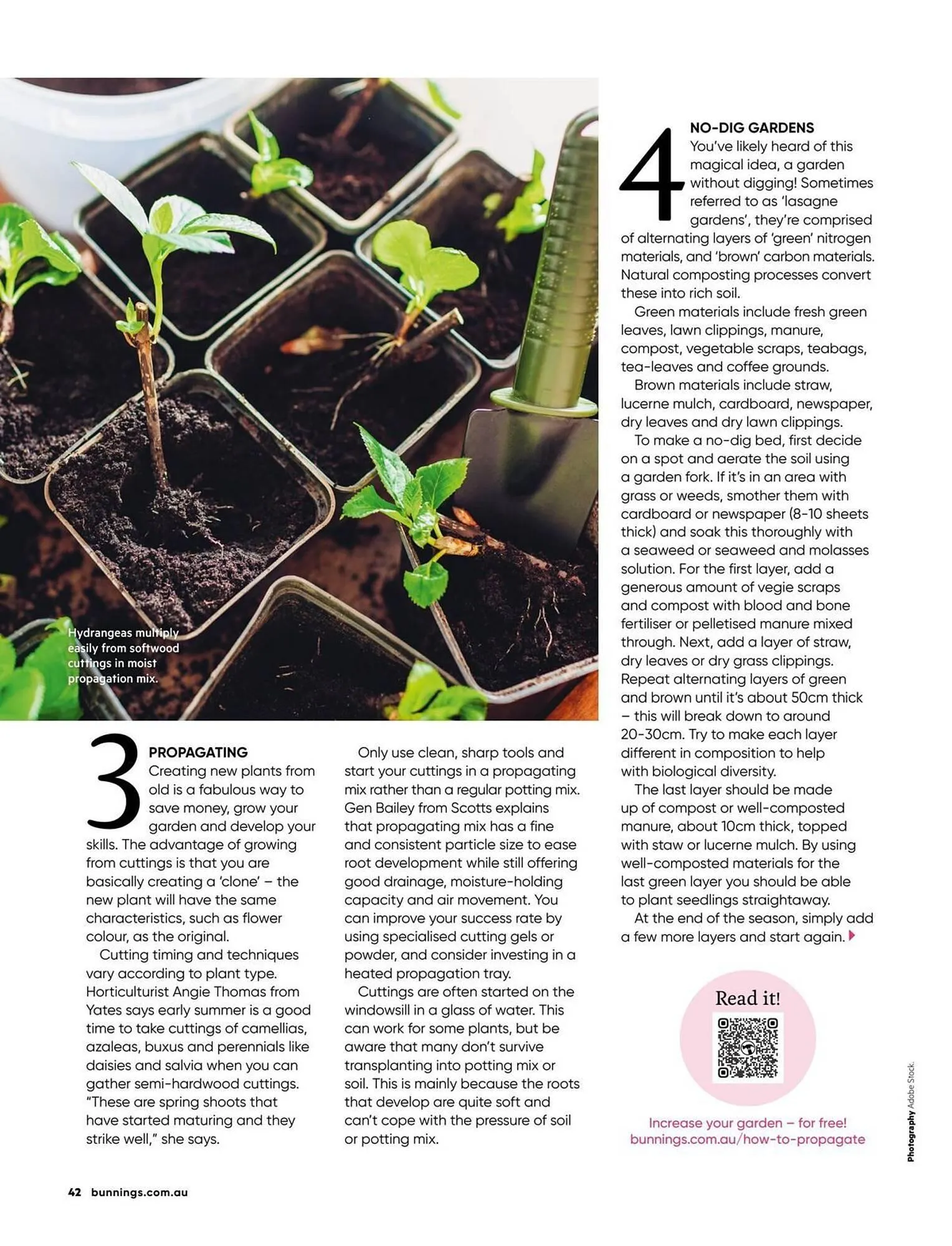 Bunnings catalogue - Catalogue valid from 1 January to 31 January 2026 - page 42