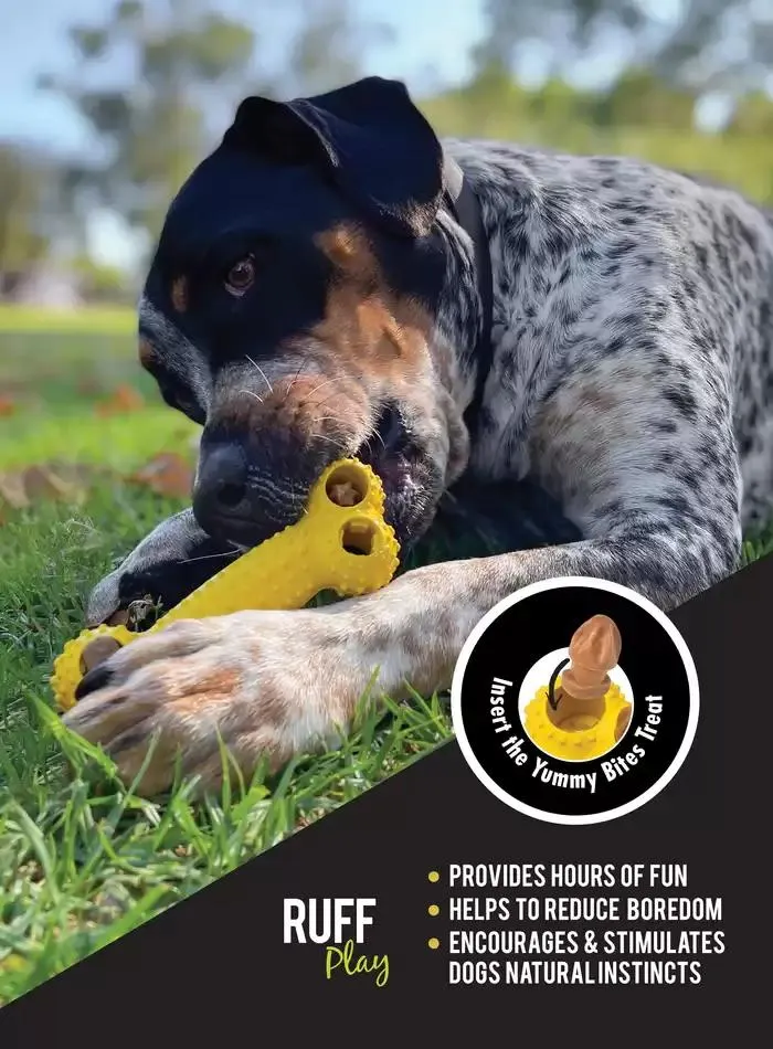 Dog Catalogue 2025 - Catalogue valid from 3 March to 31 December 2025 - page 61