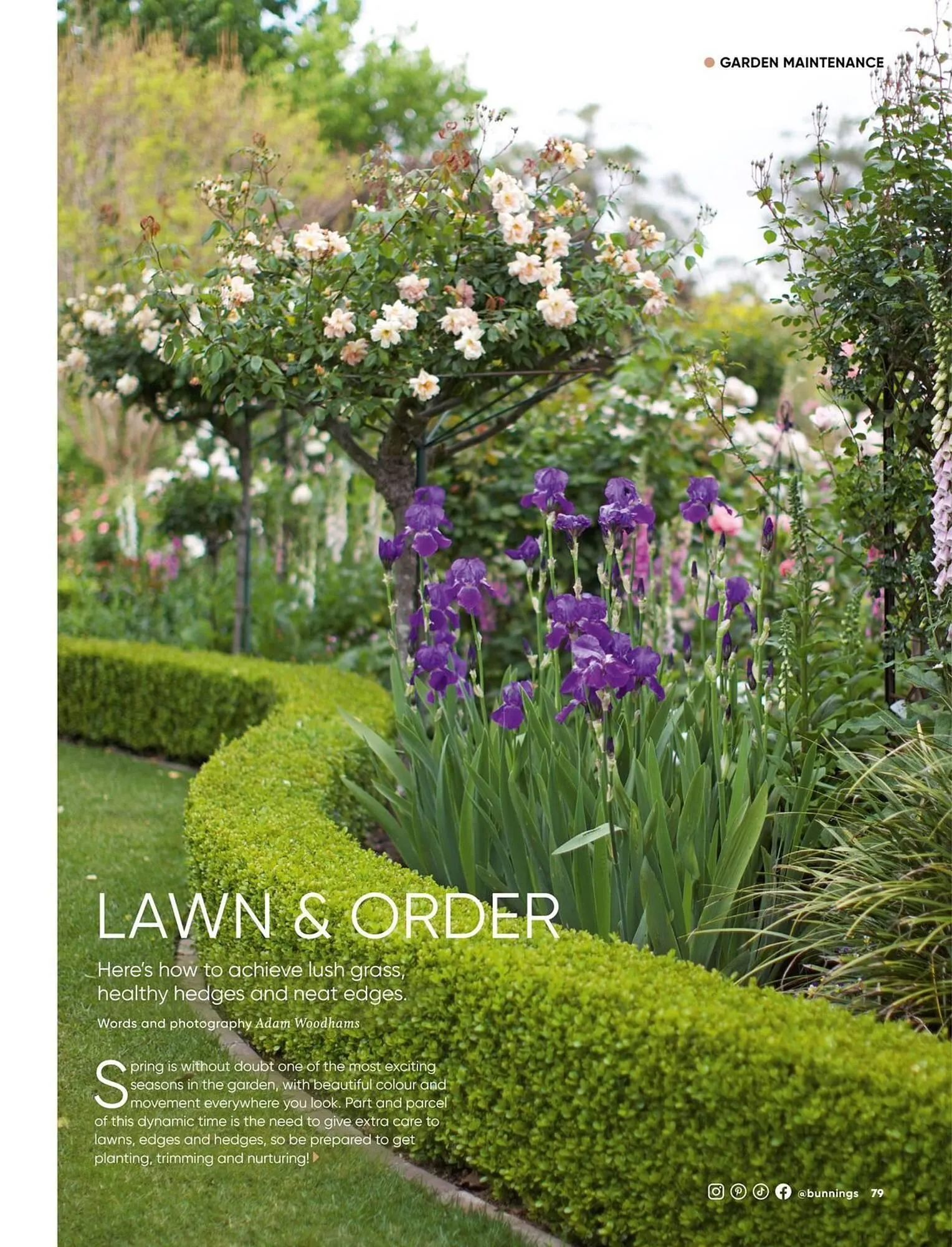 Bunnings catalogue - Catalogue valid from 1 September to 30 September 2025 - page 79