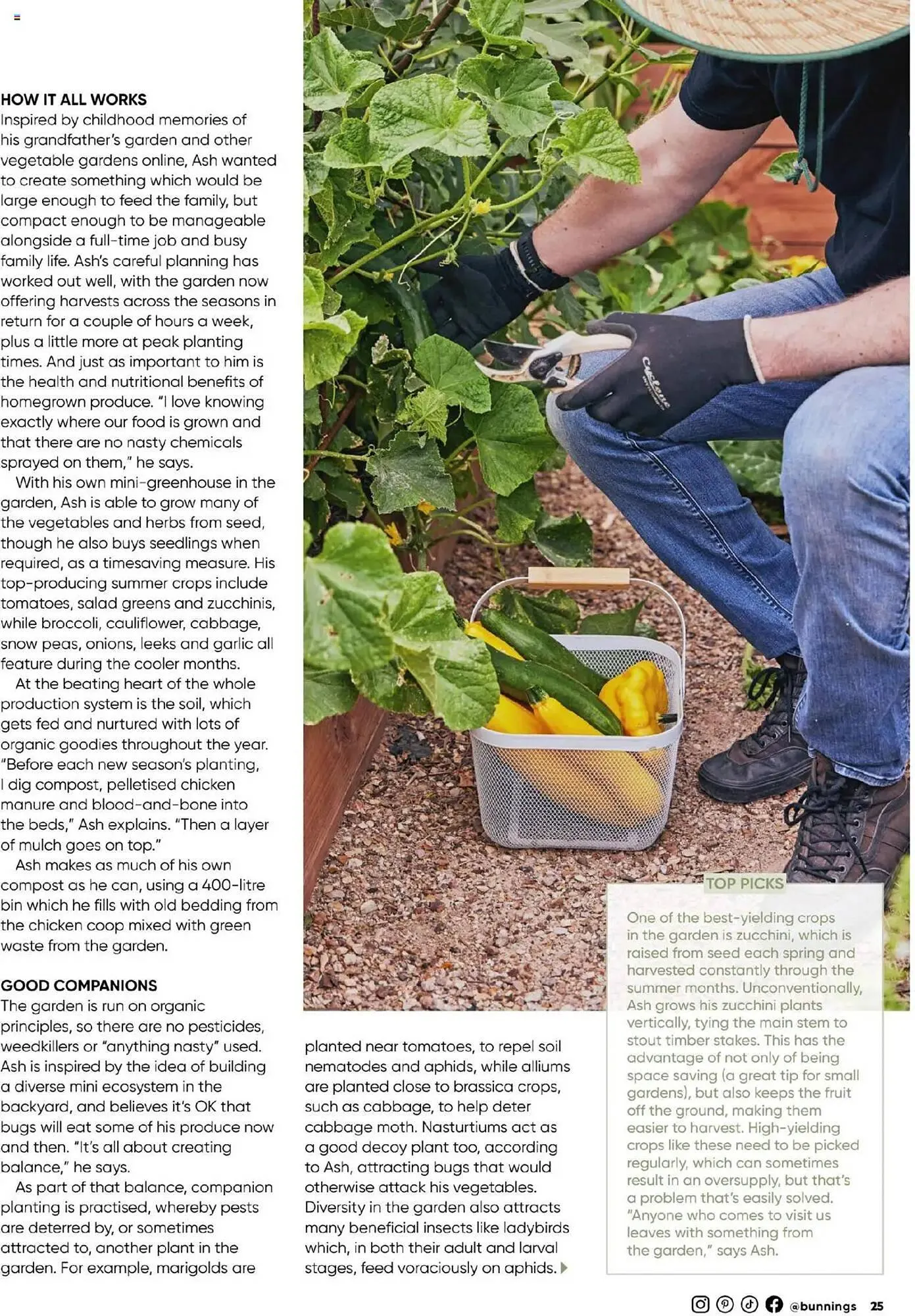 Bunnings catalogue - Catalogue valid from 30 September to 31 October 2025 - page 25