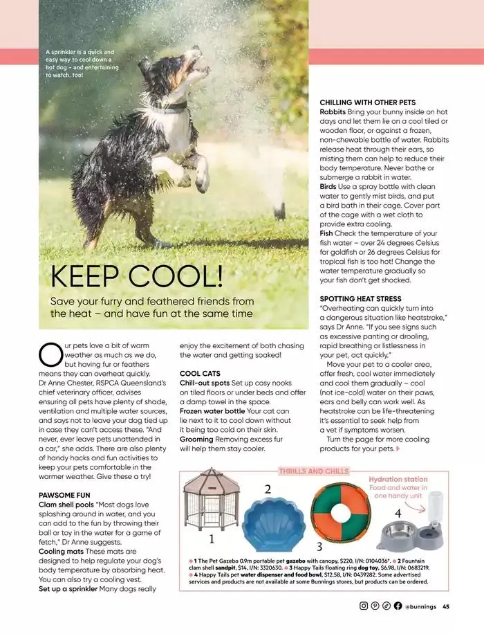 January 2025 - Catalogue valid from 1 January to 31 January 2025 - page 39