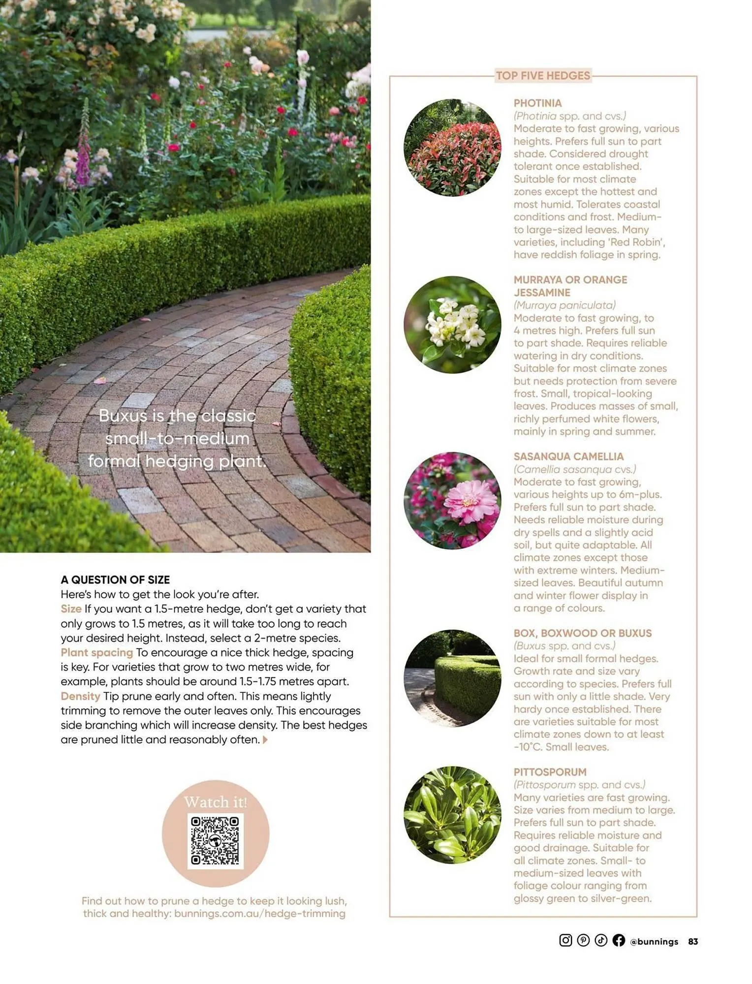 Bunnings catalogue - Catalogue valid from 1 September to 30 September 2025 - page 83