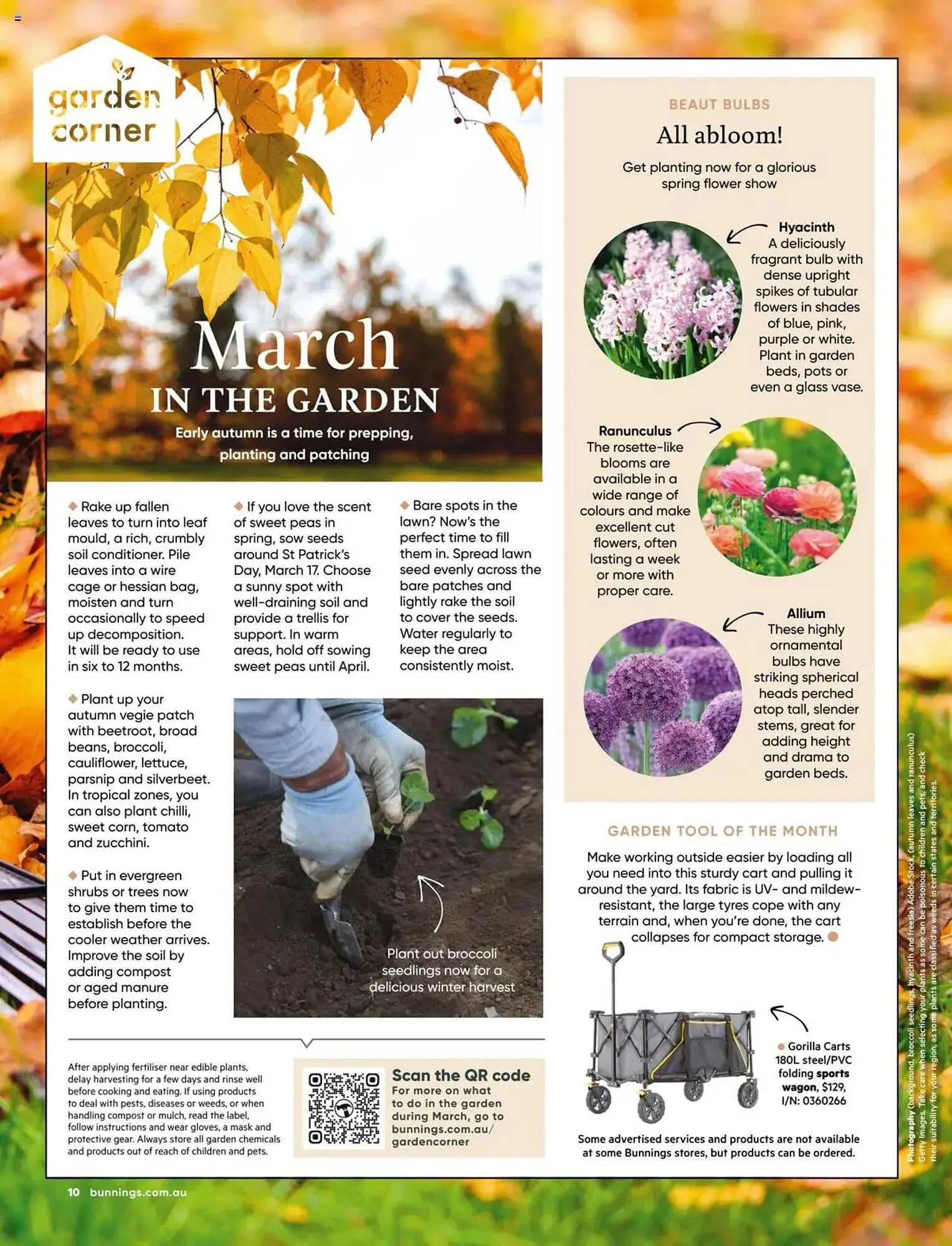 Bunnings catalogue - Catalogue valid from 1 March to 31 March 2025 - page 10