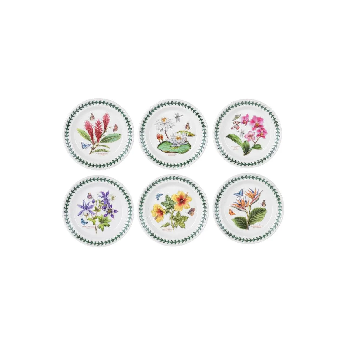 Portmeirion Exotic Botanic Garden Bread & Butter Plate Assorted 18.5cm (price per item)