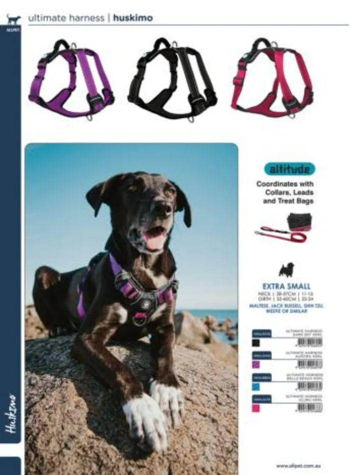 Dog Catalogue 2024 - Catalogue valid from 4 January to 31 December 2024 - page 70