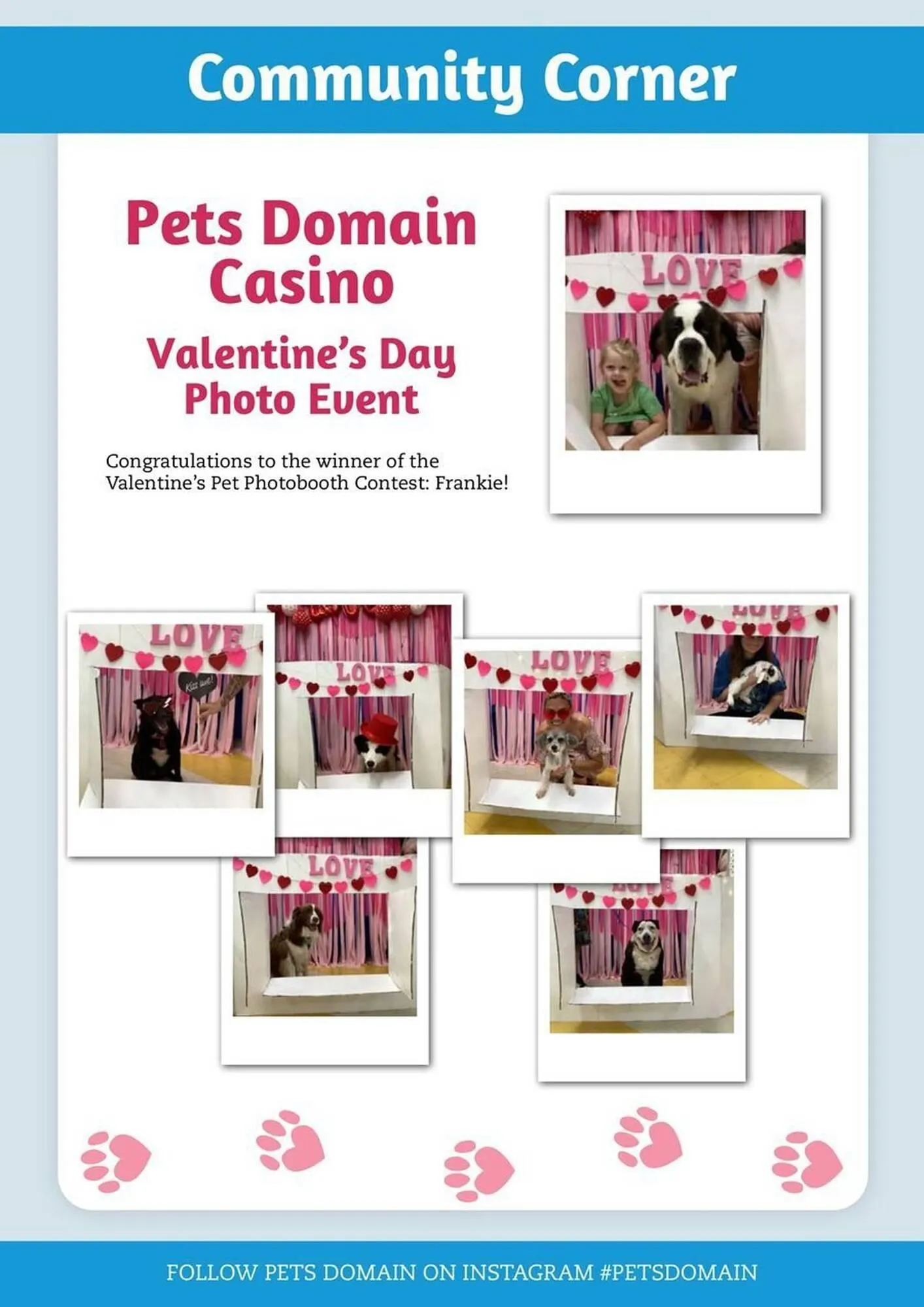 Pets Domain catalogue - Catalogue valid from 1 April to 30 June 2025 - page 31