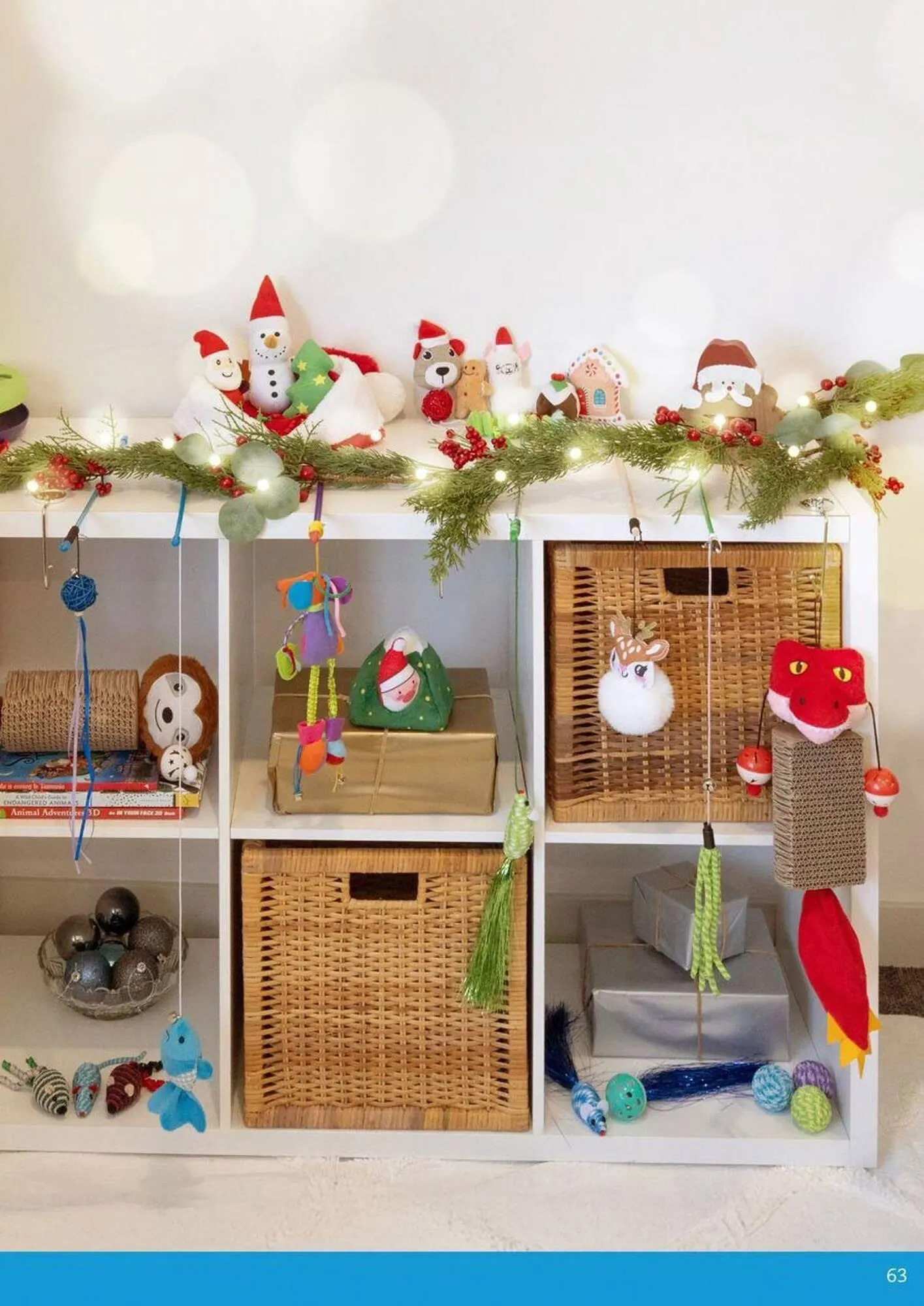 Pets Domain catalogue - Catalogue valid from 2 October to 31 December 2025 - page 63