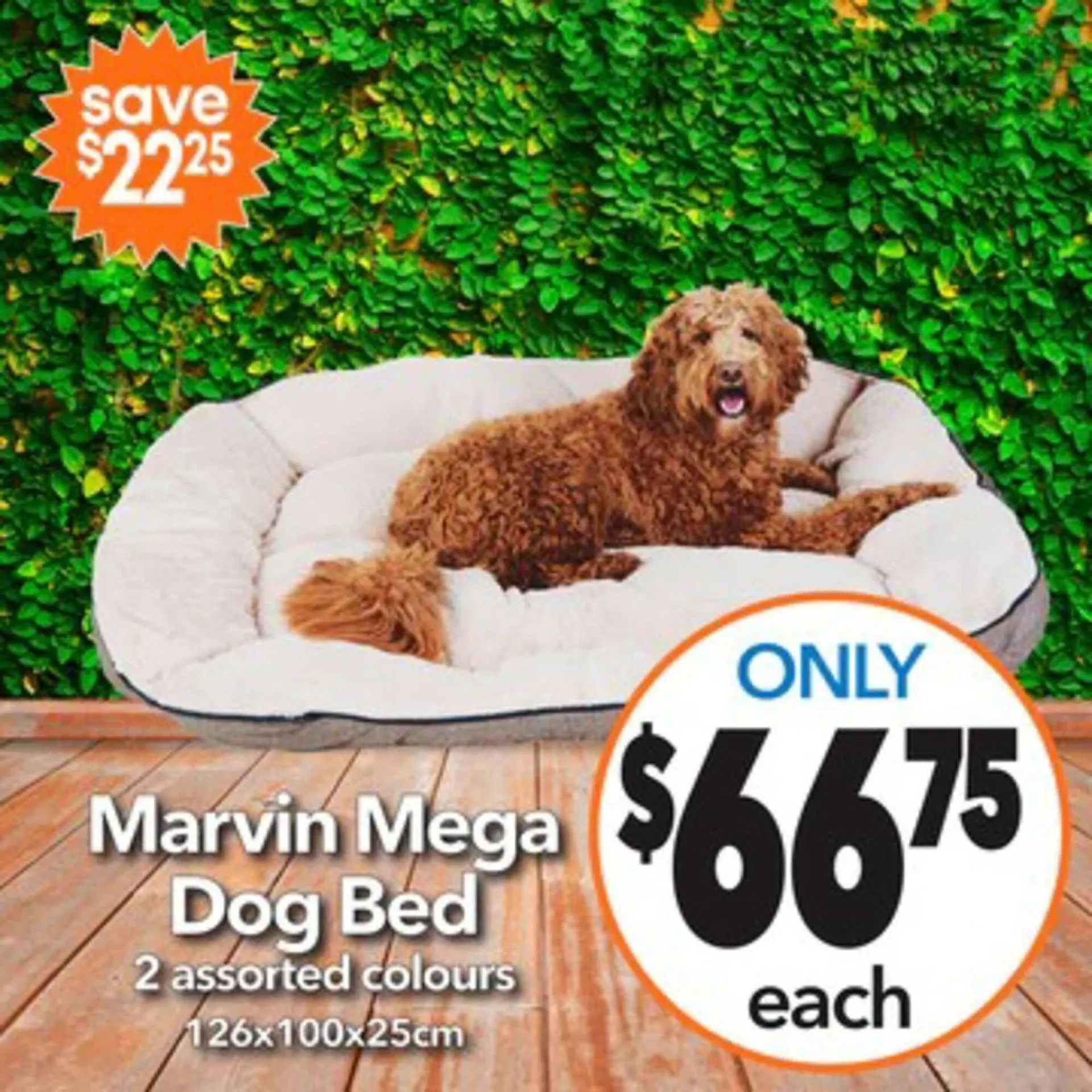 Cheap as Chips catalogue - Catalogue valid from 27 January to 3 February 2026 - page 20