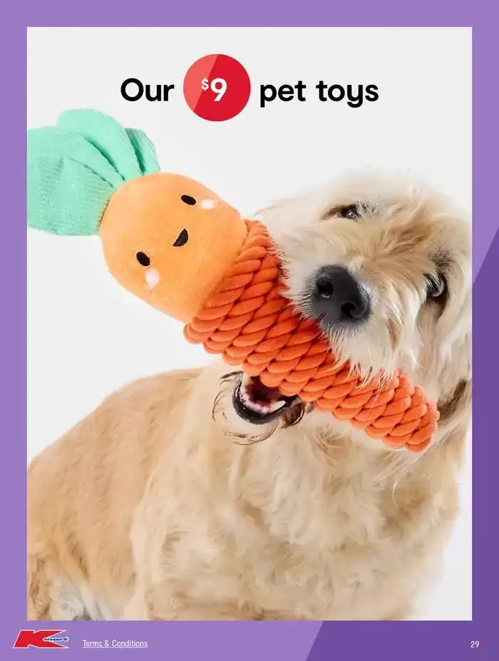 Easter - Low prices for life - Catalogue valid from 20 March to 19 April 2025 - page 29