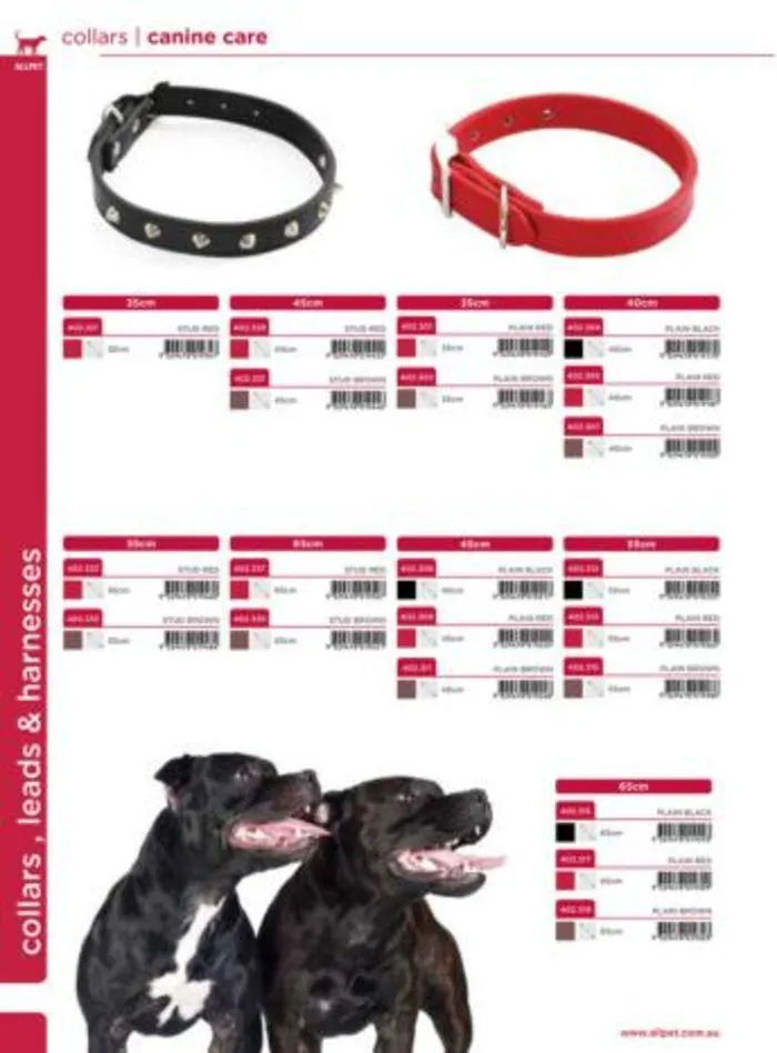 Dog Catalogue 2024 - Catalogue valid from 4 January to 31 December 2024 - page 36