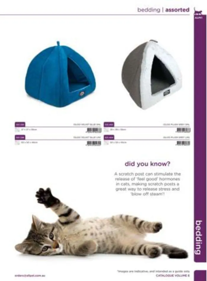 Cat Catalogue 2024 - Catalogue valid from 4 January to 28 February 2025 - page 5