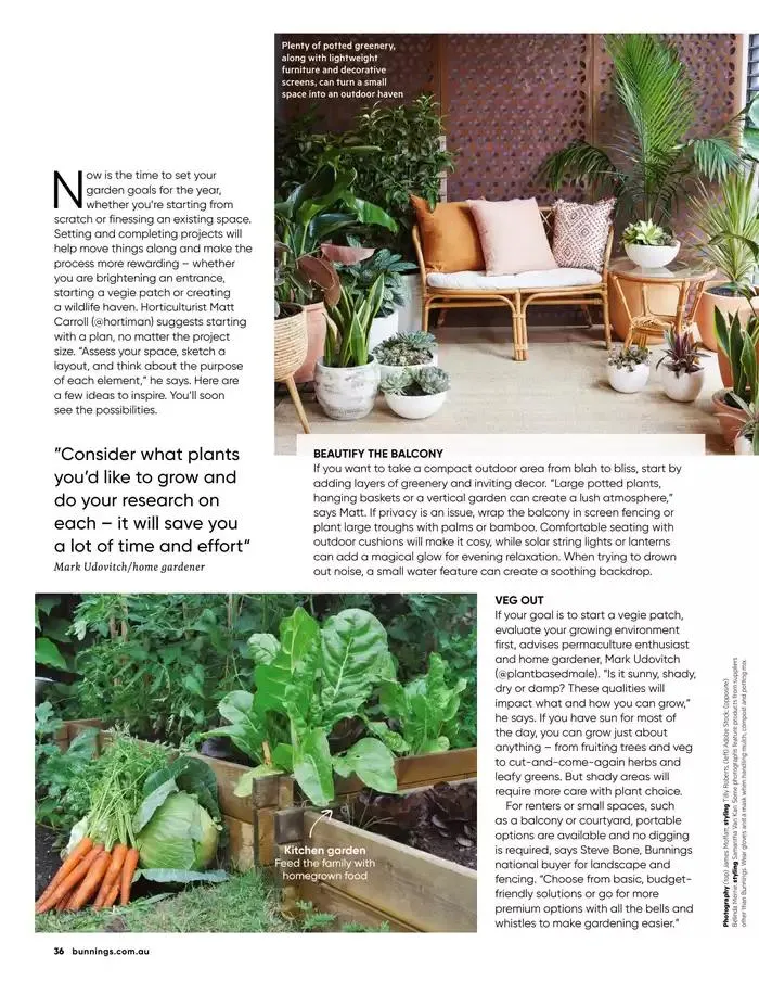 January 2025 - Catalogue valid from 1 January to 31 January 2025 - page 29