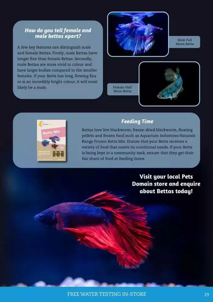 April - June 2025 - Catalogue valid from 1 April to 30 June 2025 - page 21