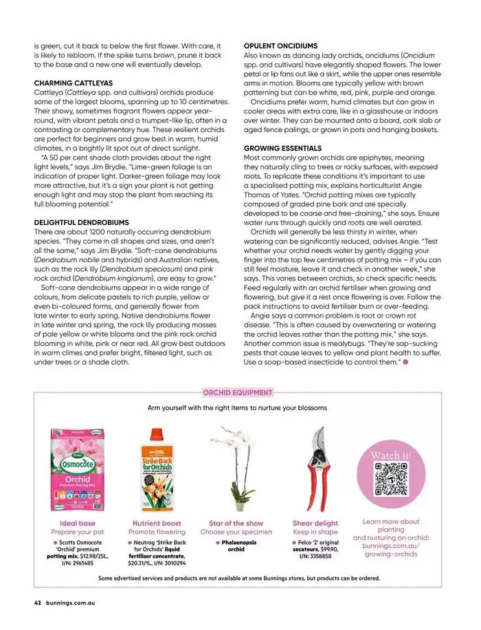 Bunnings Magazine March 2025 - Catalogue valid from 1 March to 31 March 2025 - page 42