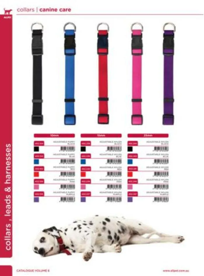 Dog Catalogue 2024 - Catalogue valid from 4 January to 31 December 2024 - page 38