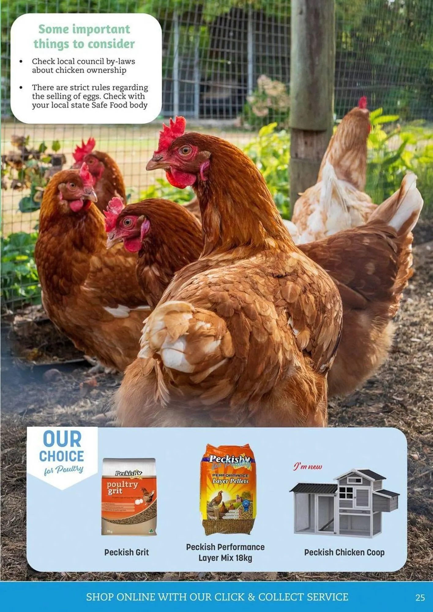 Pets Domain catalogue - Catalogue valid from 2 October to 31 December 2025 - page 25