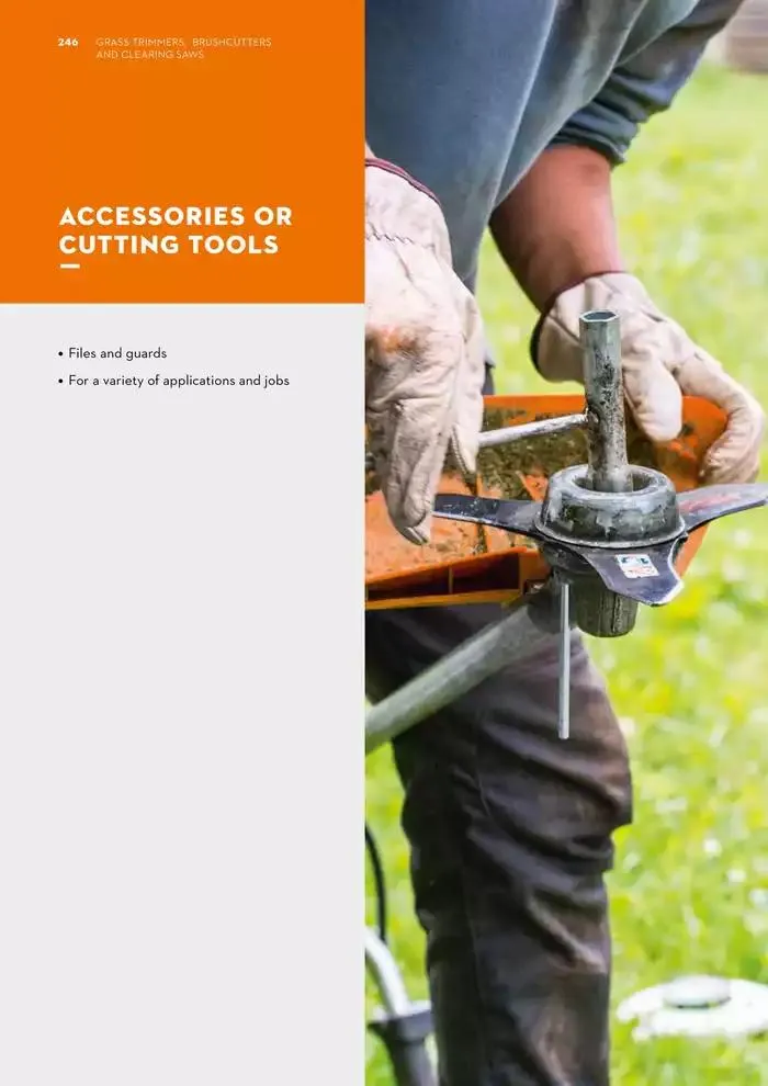 Catalogue 2024 - Catalogue valid from 26 June to 5 January 2025 - page 246