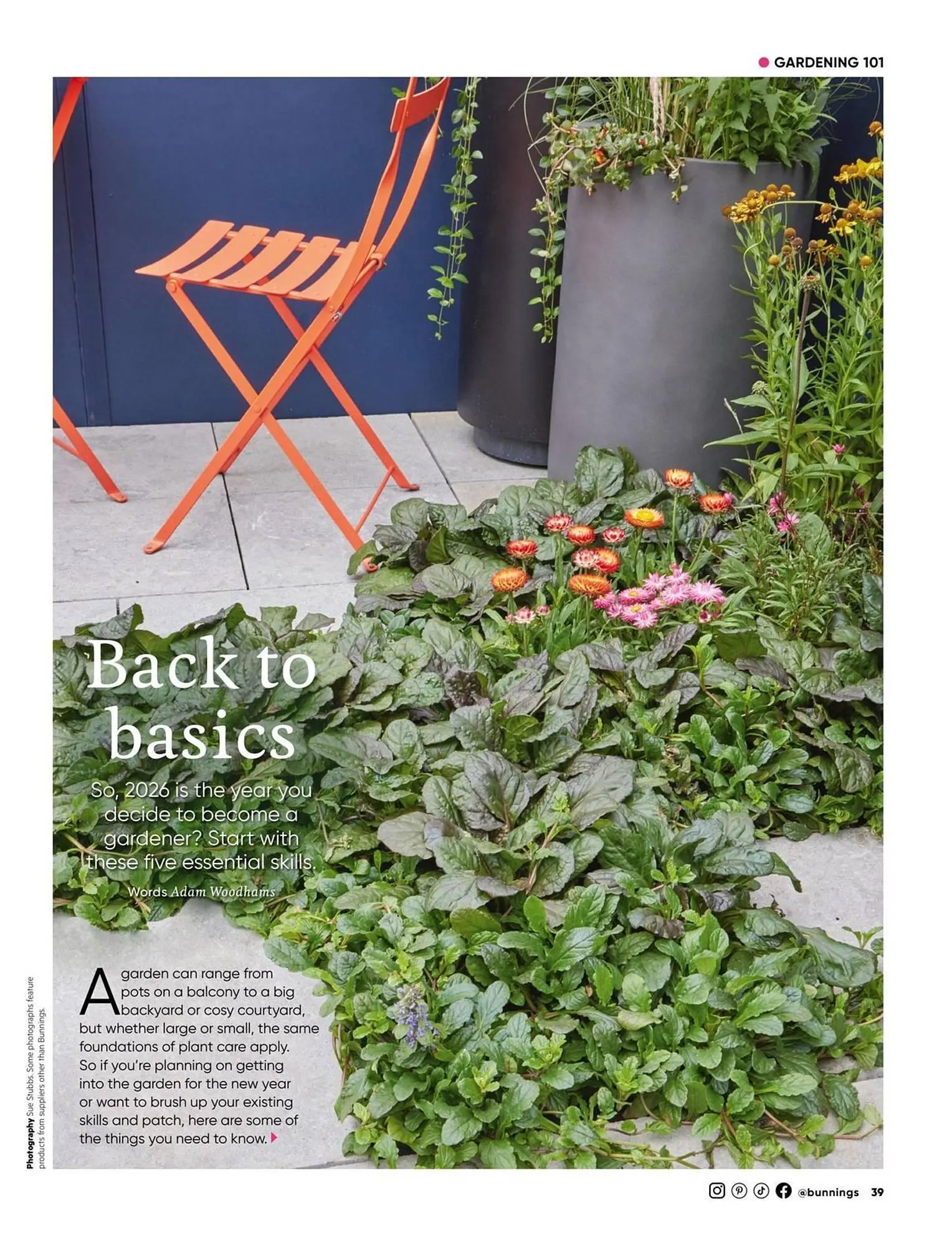 Bunnings catalogue - Catalogue valid from 1 January to 31 January 2026 - page 39